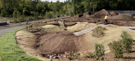 Tan erosion control material lines a basin ringed by mulched shrubs and a paved trail