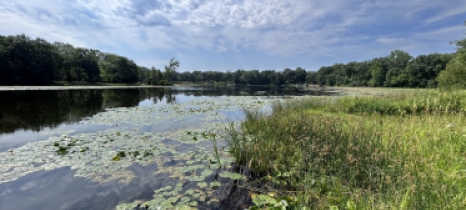 Blue sky and clouds reflect in a lake with lily pads. Trees mark the distant horizon.