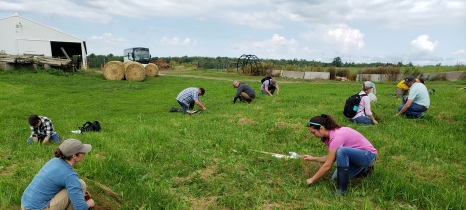 People in a field