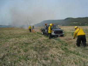 Prescribed burning in Houston County