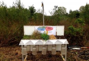 Image of Conservation Project Planning and Promotion Education Rain Simulator