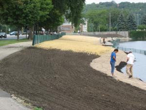 Silverlake_sod