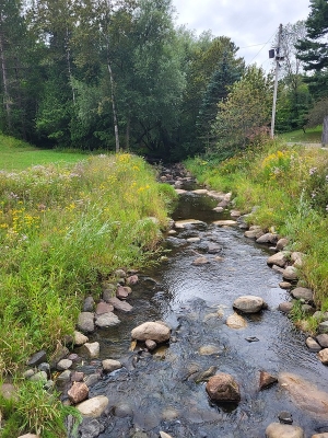 The board discussed the restoration of Chester Creek, a trout stream that flows through Chester Park in Duluth. The project addressed the ecological impact of two dams installed in the 1930s. The restoration incorporated natural channel design principles with support from state funding