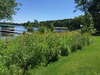 Big Fish Lake