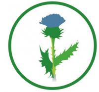 graphic showing invasive thistle