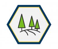 Assessment Icon