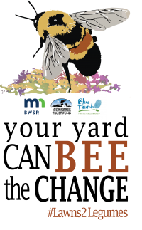 Rusty patched bumble bee and native plants