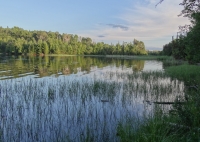 Waterbody and vegetation