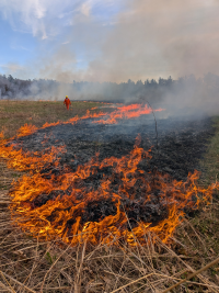 Prescribed Fire on Prairie 