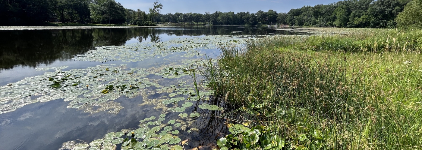 BWSR Story Library & Archive | MN Board of Water, Soil Resources